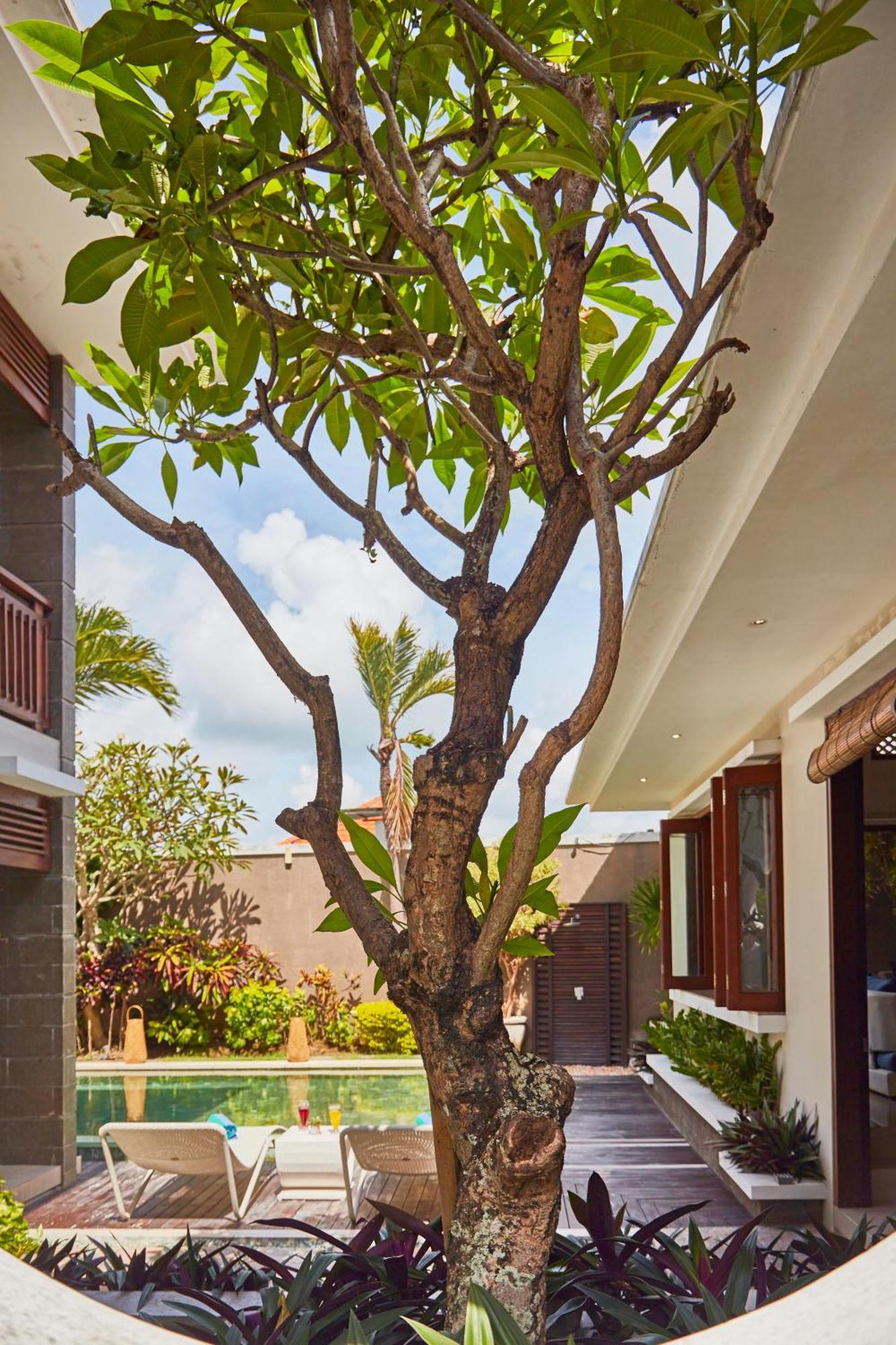 Dreamscape Bali Villas Canggu ภายนอก รูปภาพ
